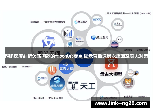 赵鹏深度剖析欠薪问题的七大核心要点 揭示背后深层次原因及解决对策