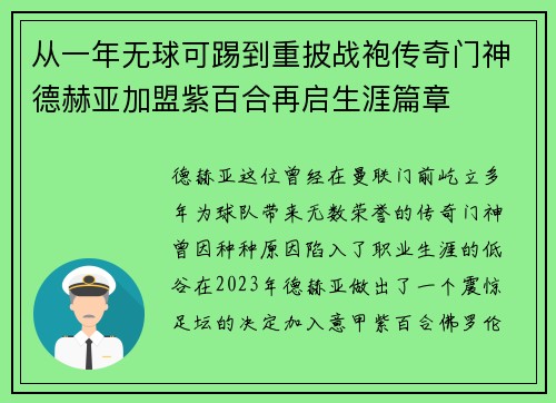 从一年无球可踢到重披战袍传奇门神德赫亚加盟紫百合再启生涯篇章 从一年无球可踢到重披战袍传奇门神德赫亚加盟紫百合再启生涯篇章